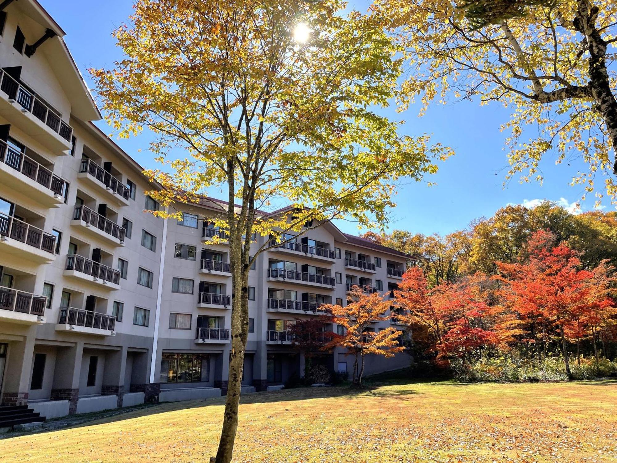 Hakuba Tokyu Hotel Nagano Exterior photo